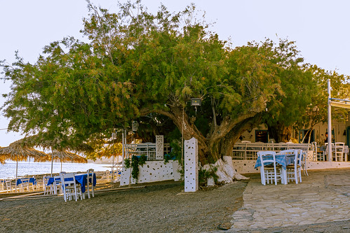 Tavern in Koutsouras, Crete