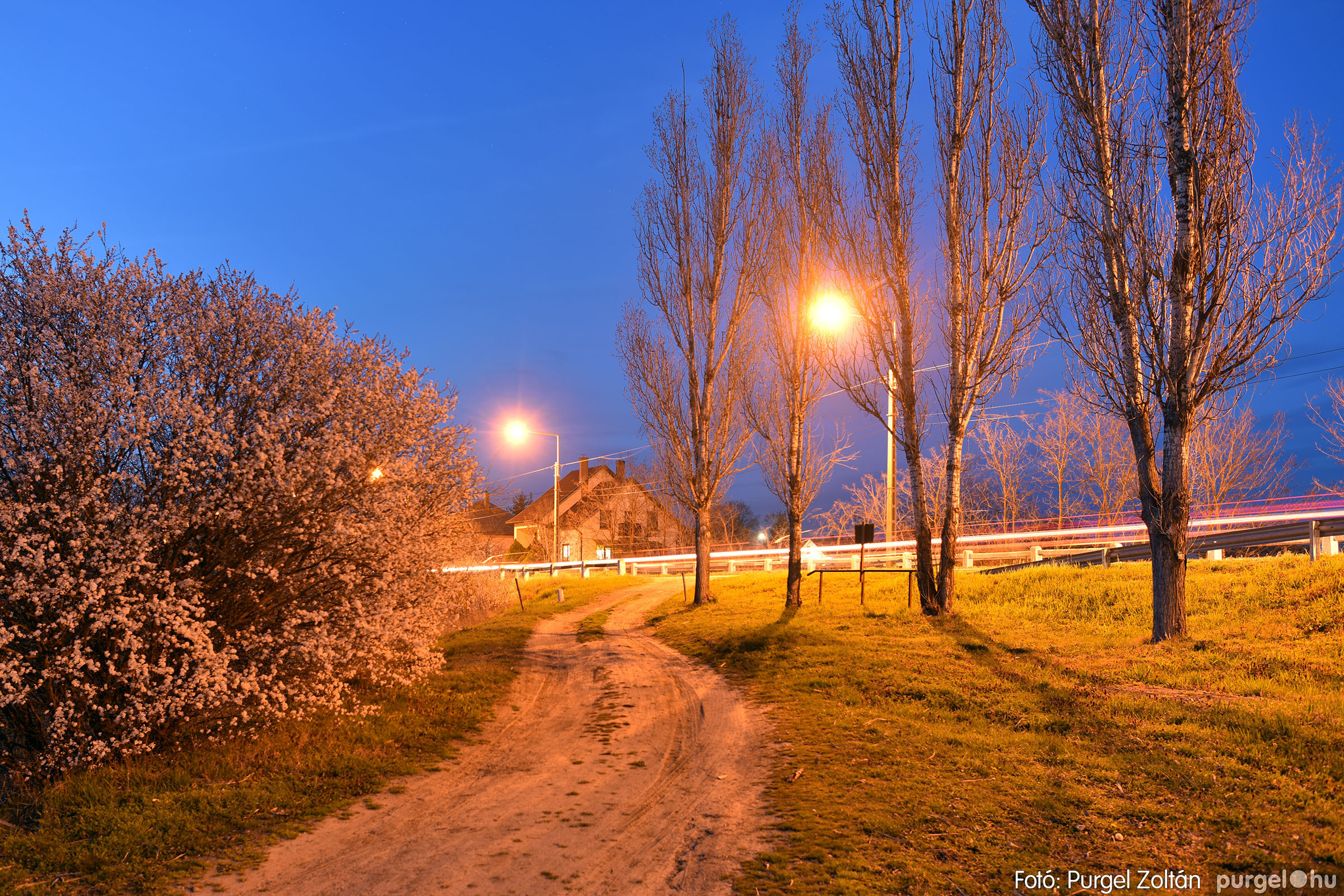 2023.03.19. 016 Esti fények a Kórógy-tó mentén - Fotó：PURGEL ZOLTÁN©.jpg