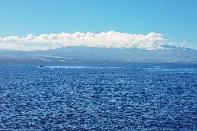 Mauna Kea with whale tail
