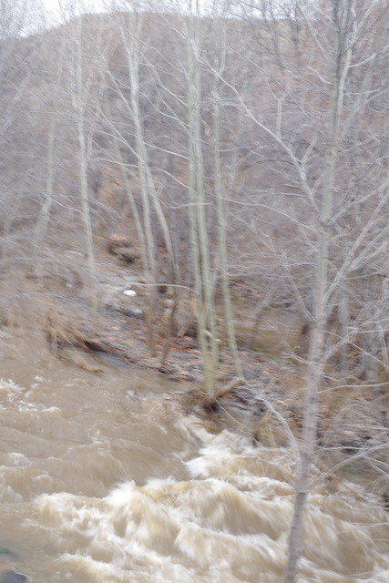 oak creek, page springs bridge, 3/19