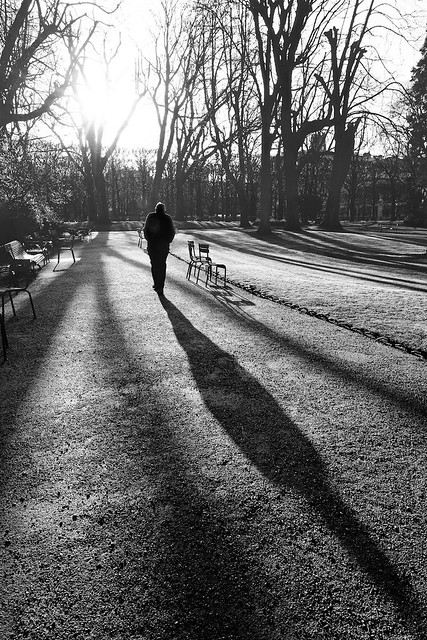 Promenade solitaire en hiver