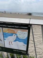 Piping Plover sign