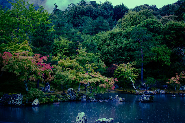 Tenryu ji garden under the rain