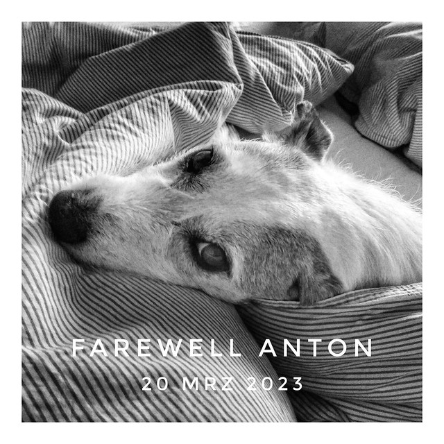 Farewell Anton
