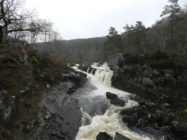 Rogie Falls, near Contin, March 2023