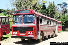 NB-1187 Nuwaraeliya Depot Ashok Leyland - Viking 210 Turbo B+ type Bus at Nuwaraeliya in 22.02.2023