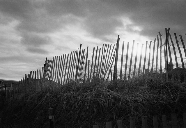 Storm fences and grass silhouetted against the sun 2