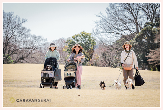愛犬とロケーション撮影　愛知県尾張旭市の公園
