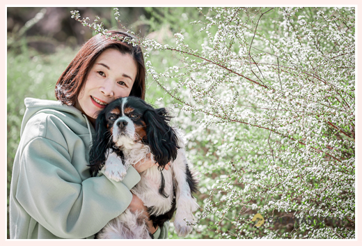 飼い犬のキャバリアとロケーション撮影　愛知県尾張旭市の公園