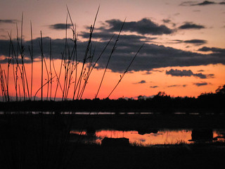 Sunset over Singing Sands, Bruce Peninsula National Park