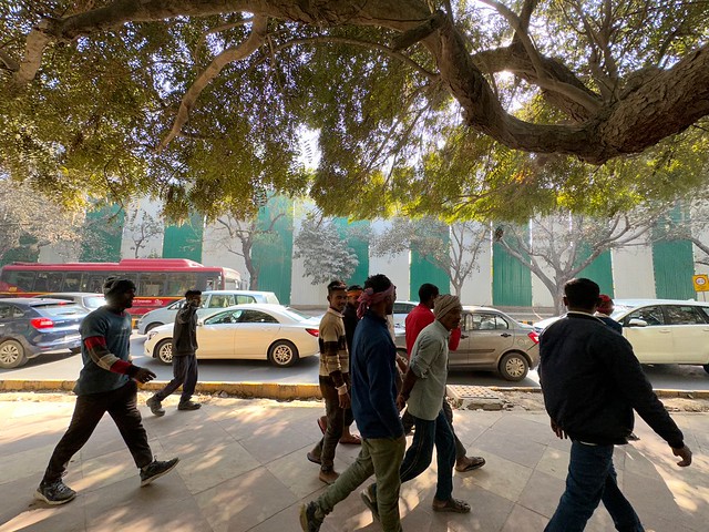 City Life - Barricade Trees, Sarojini Nagar