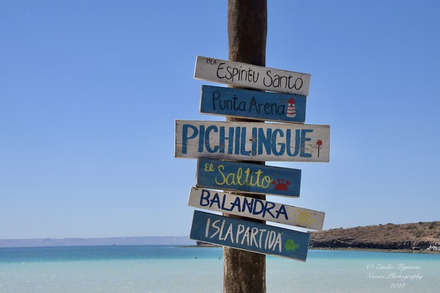 55/2023 - Playa Pichilingue, Baja California Sur, La Paz.