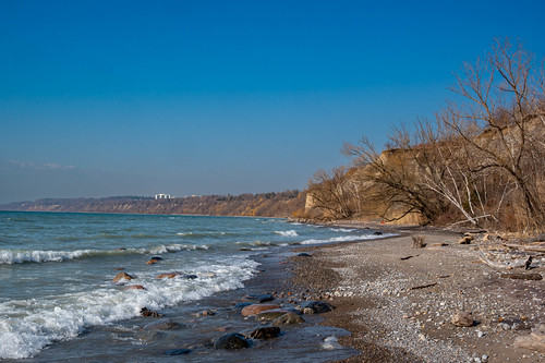 Beach Scape | by dunescape