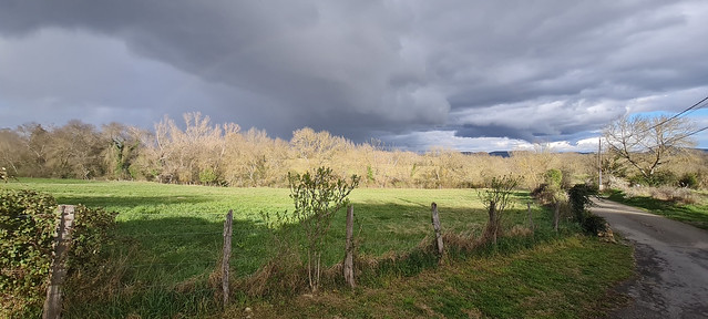 Bois près de Saint-Julien de Cassagnas