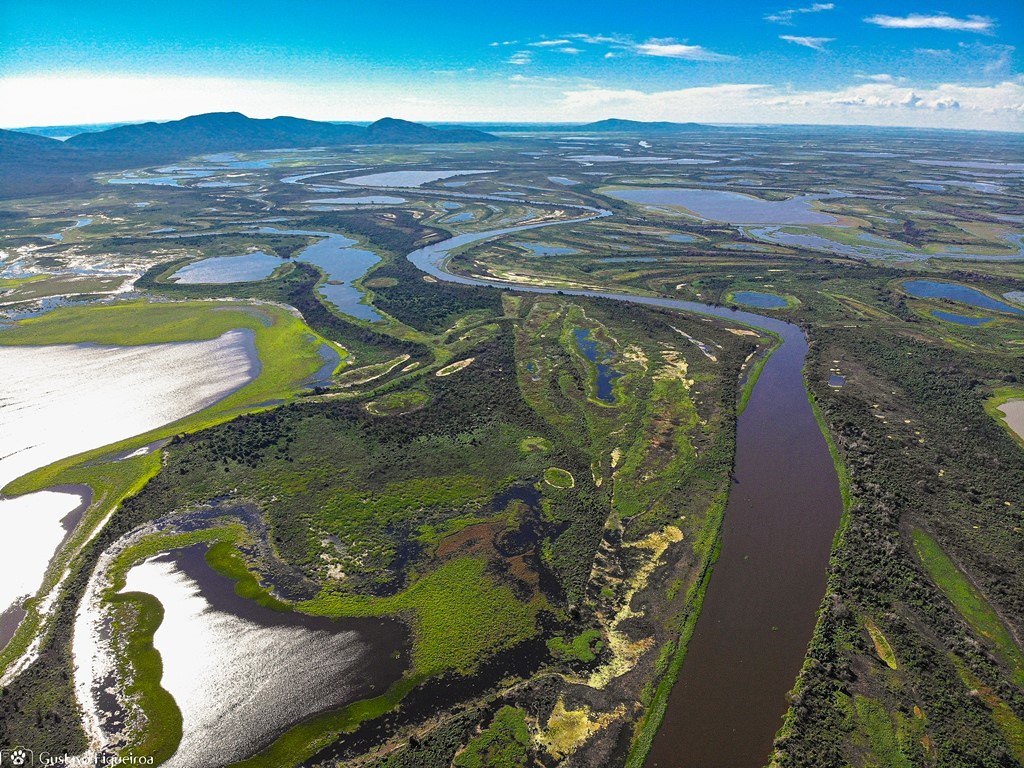 No Dia Mundial da Água, SOS Pantanal anuncia novo projeto de monitoramento e preservação de recursos hídricos do bioma