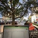 Workinf outside on Santana Row with a laptop