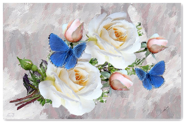 Roses with butterflies