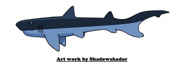 Extinct mackerel shark (†Cretodus longiplicatus)