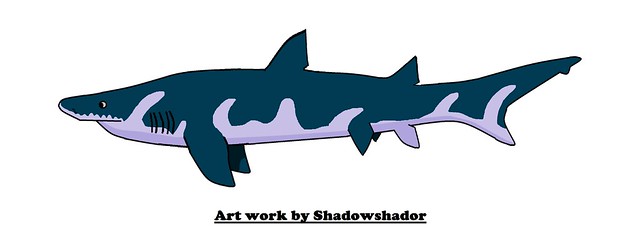 Extinct mackerel shark (†Protolamna roanokeensis)