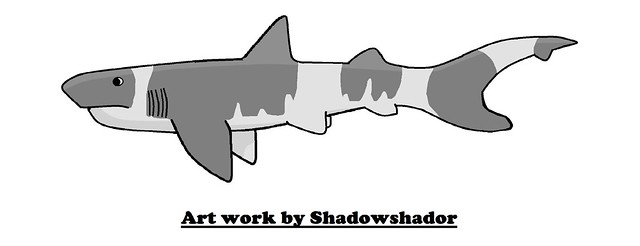 Extinct mackerel shark (†Cretodus semiplicatus)