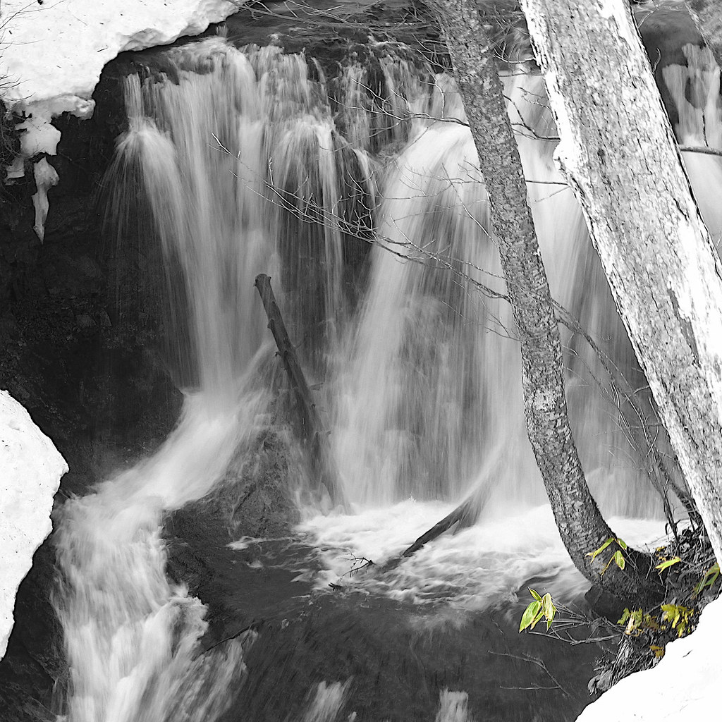 Waterfall in B/W with a Touch of Green