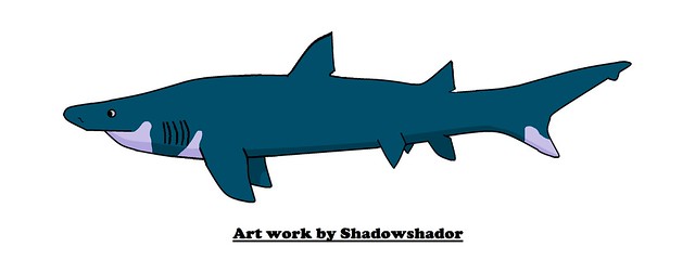 Extinct mackerel shark (†Protolamna ricaurtei)
