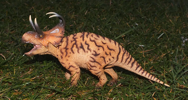 Bent sword horned face  ceratopsid (†Machairoceratops cronusi) PNSO replica