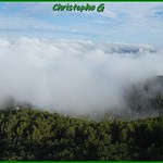 5. August 2021 - 8:48 - Mer de nuage sur le haut Vaucluse (Gigondas - 5 août 2021) (1)