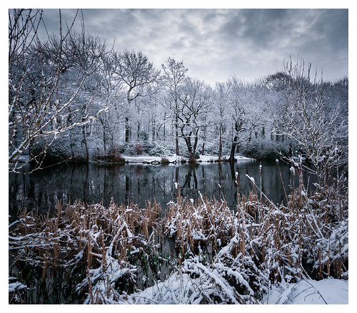 pond rivacrevalley snow frozen winter cheshire ellesmereport 2023