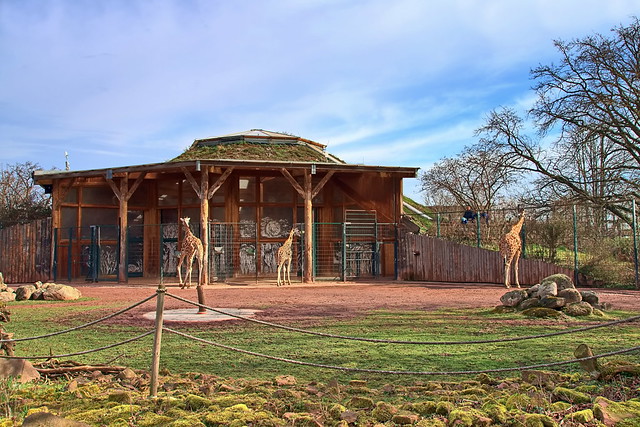 Giraffenhaus im Magdeburger Zoo