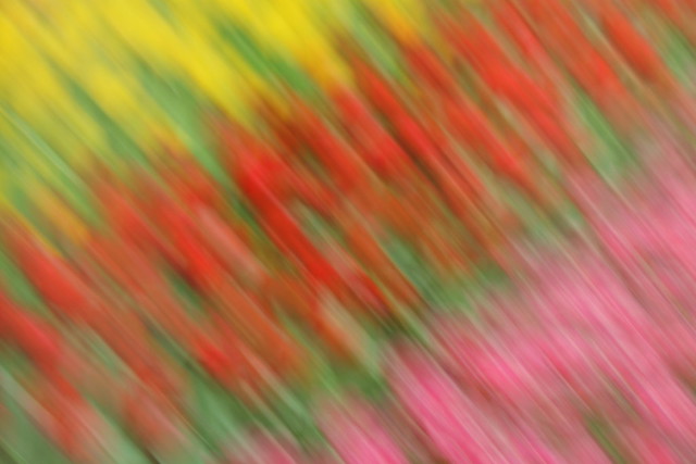 ICM abstract: flower garden diagonal blur