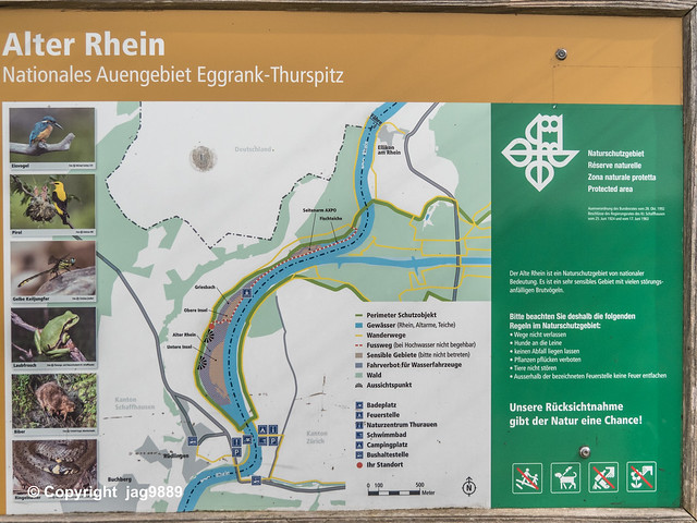 Eggrank-Thurspitz Alluvial Site on the Rhine River, Rüdlingen, Canton of Schaffhausen, Switzerland
