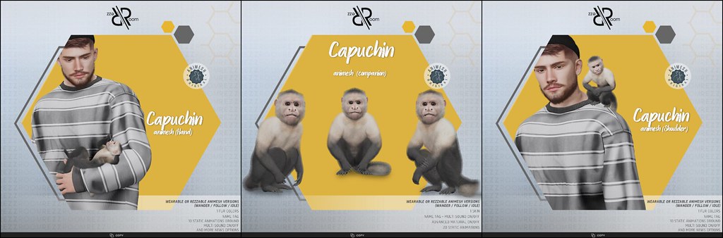 [Rezz Room] Capuchin Adult Animesh