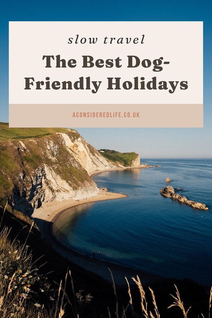 The Best Destinations for Dog-friendly Getaways in the UK