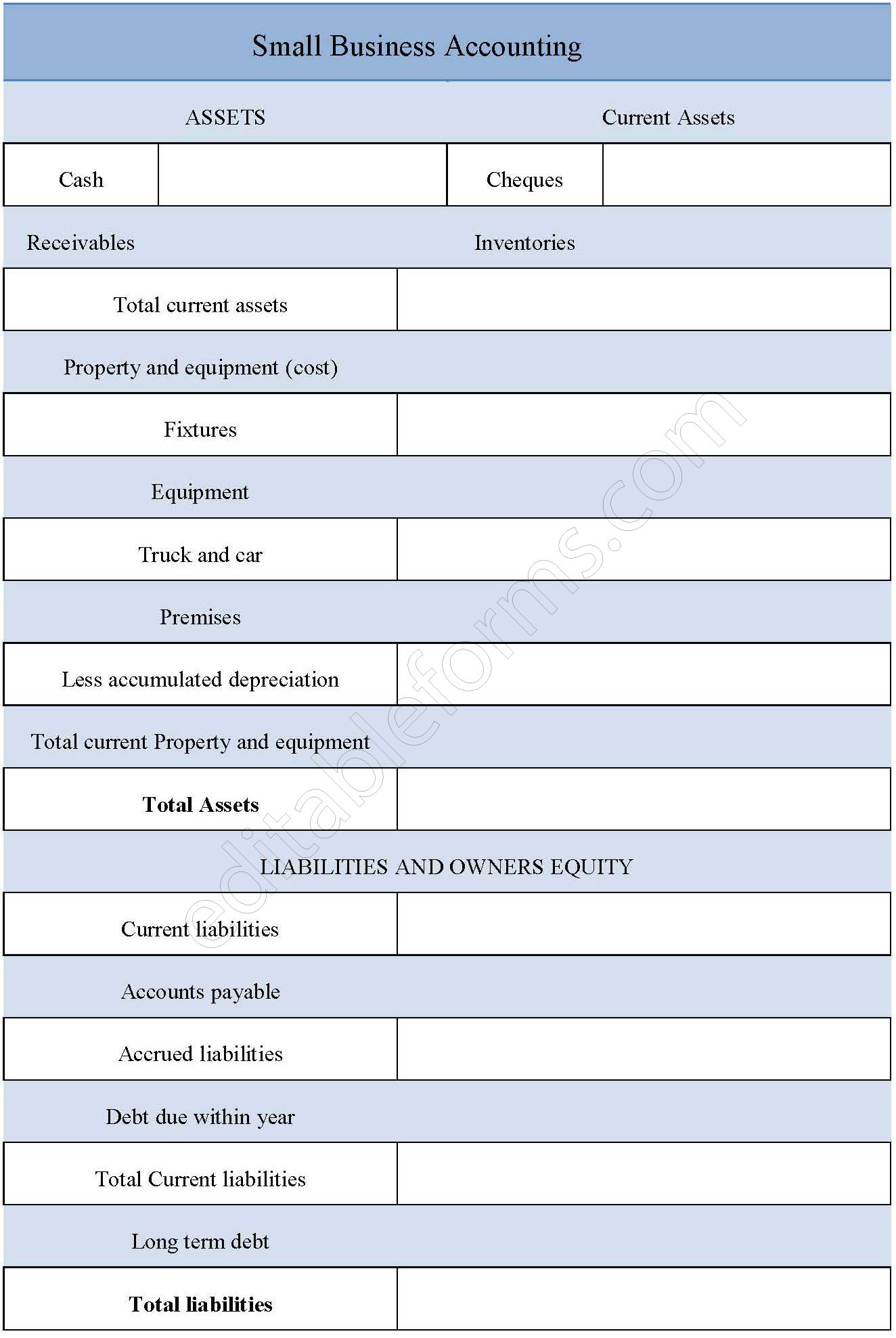 Small Business Accounting Form