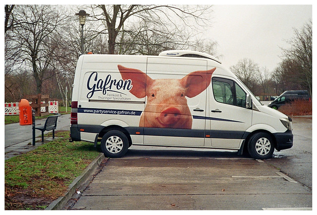 Schwein | Beirette electronic | Kodak 400