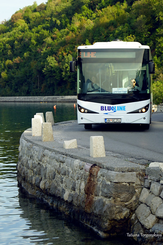 Автобус Blue Line, следующий по маршруту Котор - Тиват