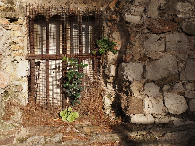 window and wall
