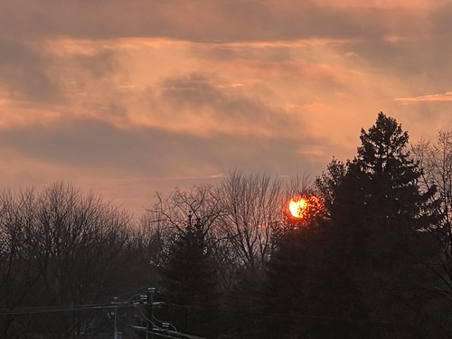 Sun Setting Behind the Trees .. .. by Irini Kane, The sun as it is going down at sunset in our local area.trees treesilhouettes treebranches outdoors