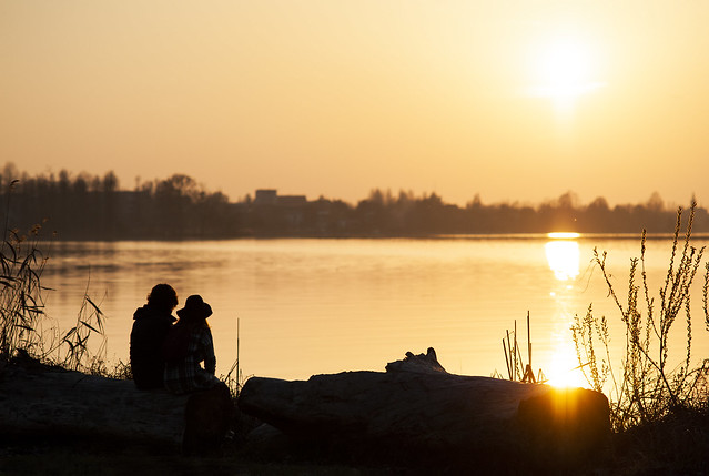 Couple Watching The Sunset