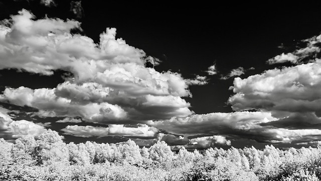 Clouds & Trees (infrared)