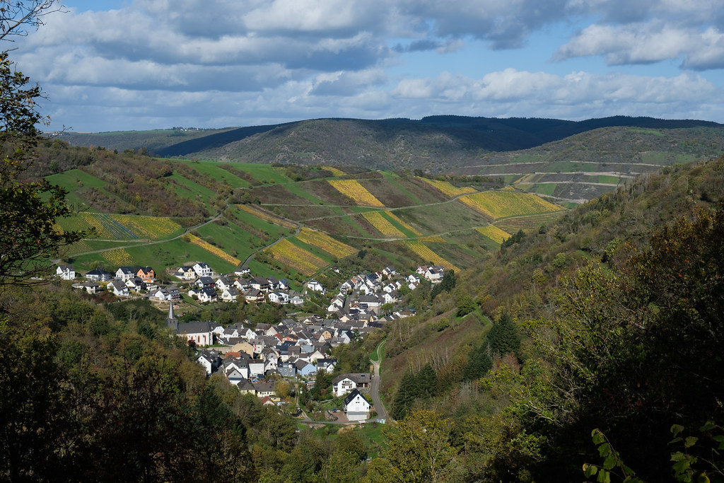 Blick auf Oberdiebach