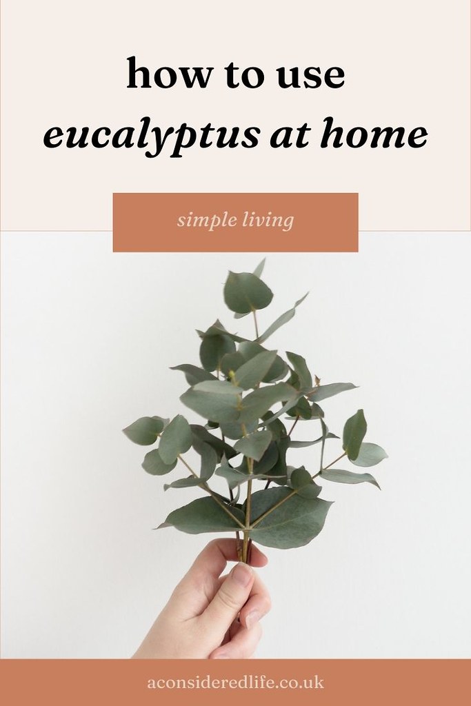 Making Use Of Eucalyptus