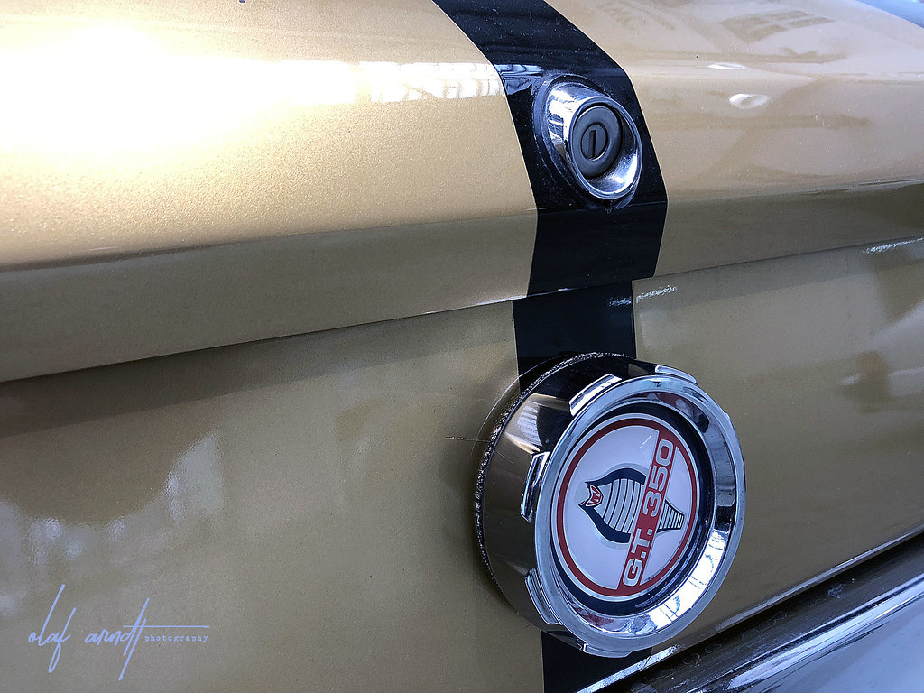 Shelby Mustang GT350H (Hertz)