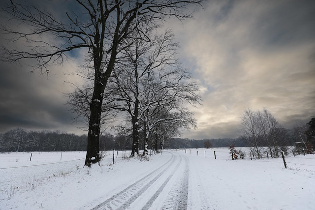 Winter landscape in As - Belgium