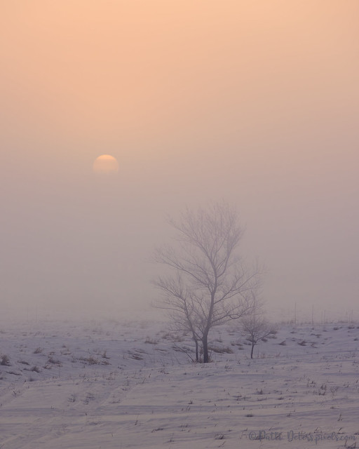 Foggy Winter Sunrise