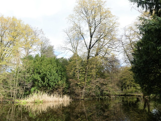 Park Schöntal