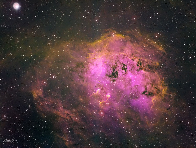 IC 410 Tadpole Nebula HSO