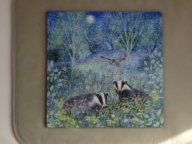 Victory Reboot 234pc Summer Badgers by Lucy Grossmith DSC03003