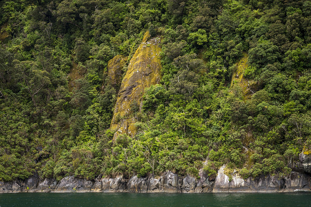 NZ, Southland, Milford Sound